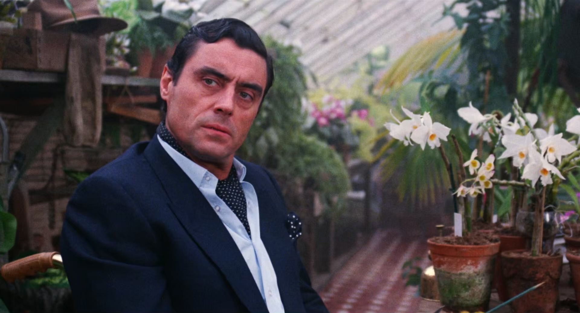 无罪的验证／奉命谋杀Ordeal.by.Innocence.1984.1080p.BluRay.x265.10bit.mkv_2025021.jpg
