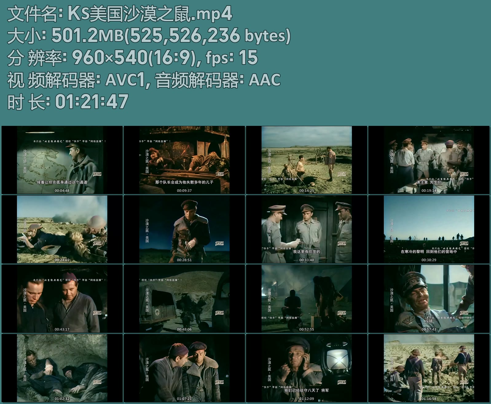 KS美国沙漠之鼠.mp4.jpg