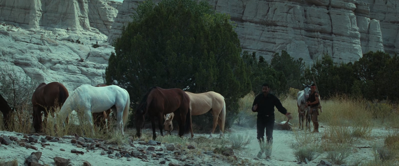 豪勇七蛟龙.The.Magnificent.Seven.2016.1080p.10bit.BluRay.x265.2audio.HEVC-PSA特.jpg