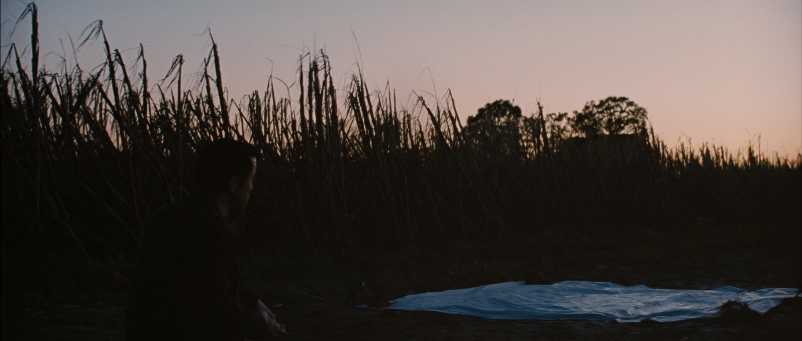 环形使者.Looper.2012.1080p.10bit.BluRay.2audio.x265.HEVC-MZABI特效字幕.mkv_20250.jpg