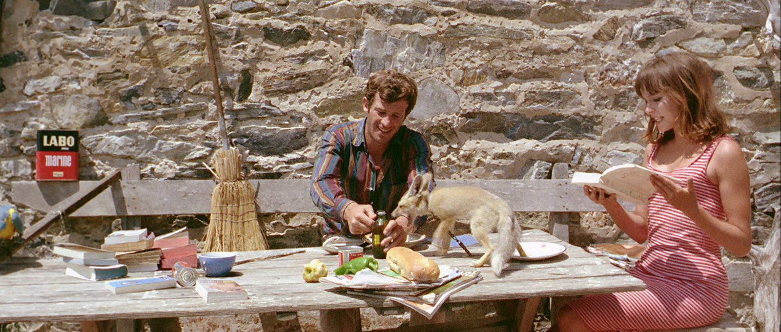 Pierrot.le.Fou.1965.CC.BluRay.1080p.LPCM.1.0.x265.10bit-DreamHD.mkv_20250511_165.jpg