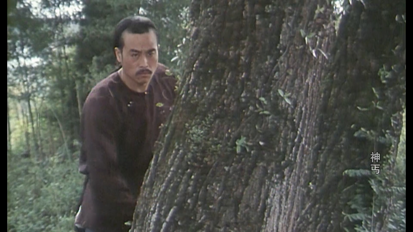 神丐.mkv_20250512_110354.147.jpg