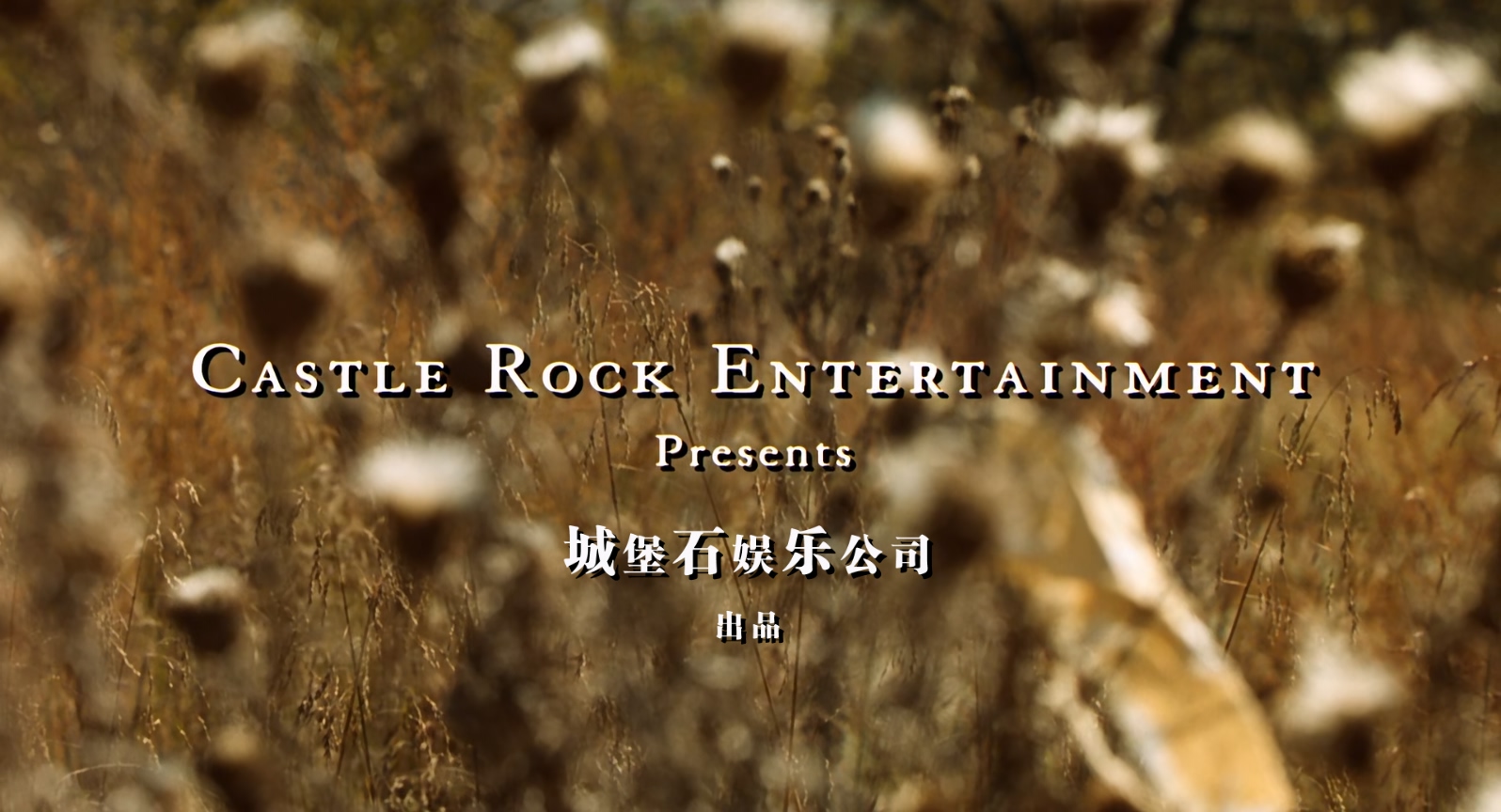绿里奇迹.The.Green.Mile.1999.1080p.x265.10bit.2audio.FS93.Joy特效字幕.mkv_202505.jpg