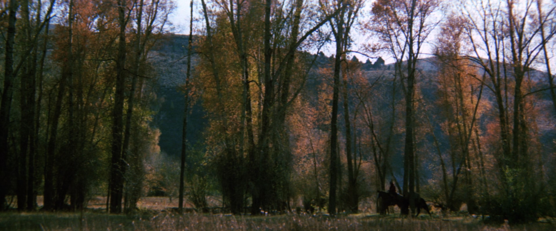Jeremiah.Johnson.1972.1080p.BluRay.x265.10bit.DTS-SONYHD.mkv_20250518_121721.278.jpg