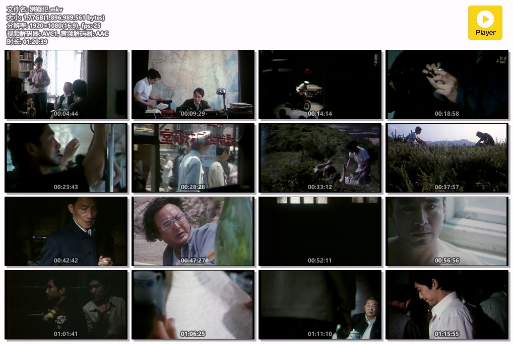 嫌疑犯.mkv.jpg