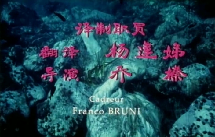 huhupan11429上译国语.1996.DVDRip.XviD.ac3.jyt.avi_20250531_170138.179.jpg