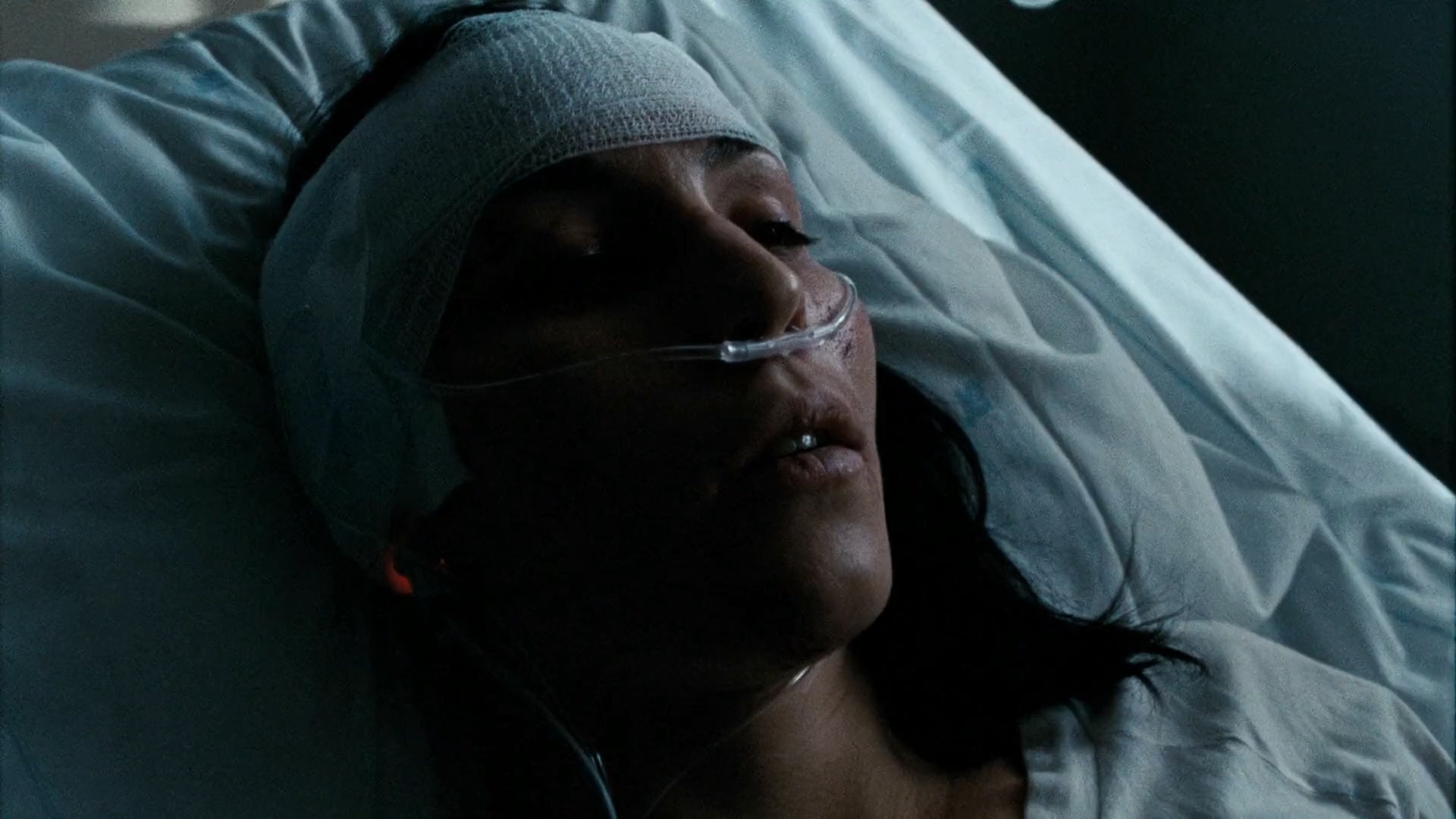 The.Girl.Who.Kicked.the.Hornets.Nest.2009.SWEDISH.1080p.BluRay.H264.AAC-VXT.mp4_.jpg