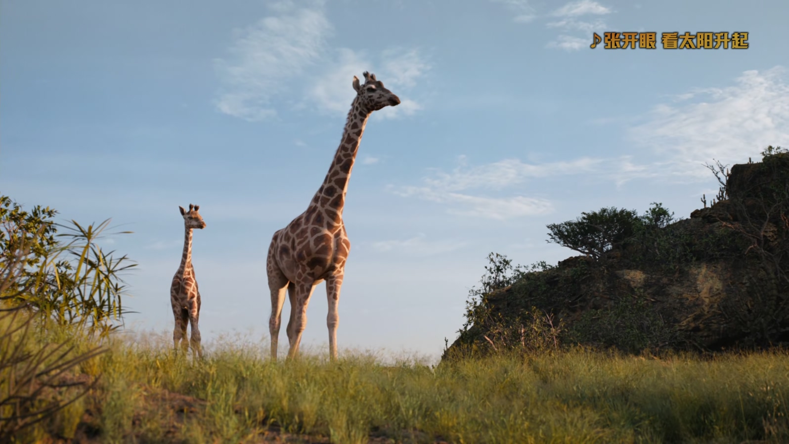 狮子王The.Lion.King.2019.1080p.10bit.BluRay.8CH.x265.HEVC3audio特效字幕-PSA.mkv_.jpg