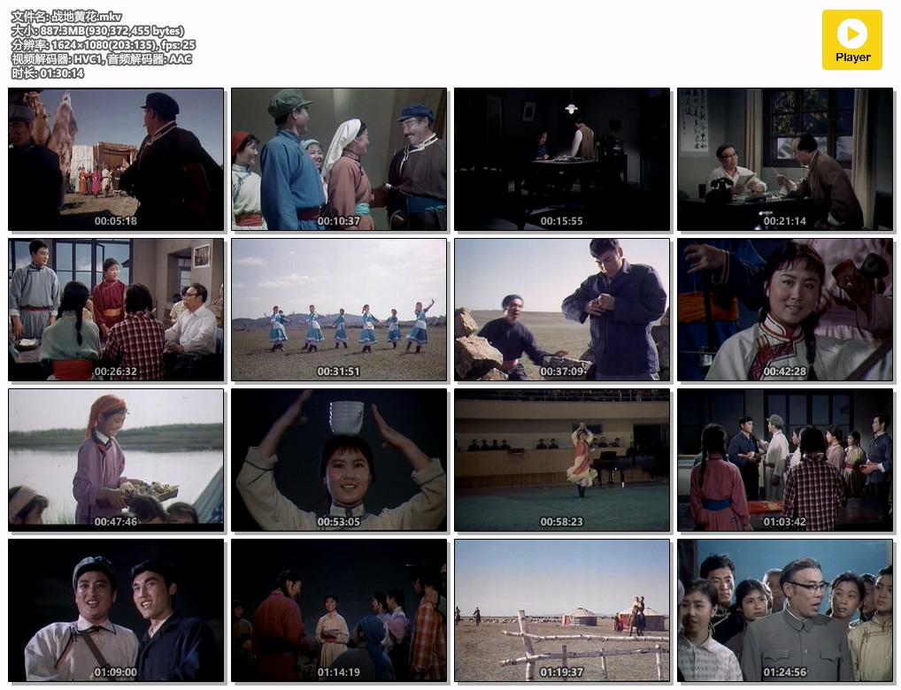 战地黄花.mkv.jpg