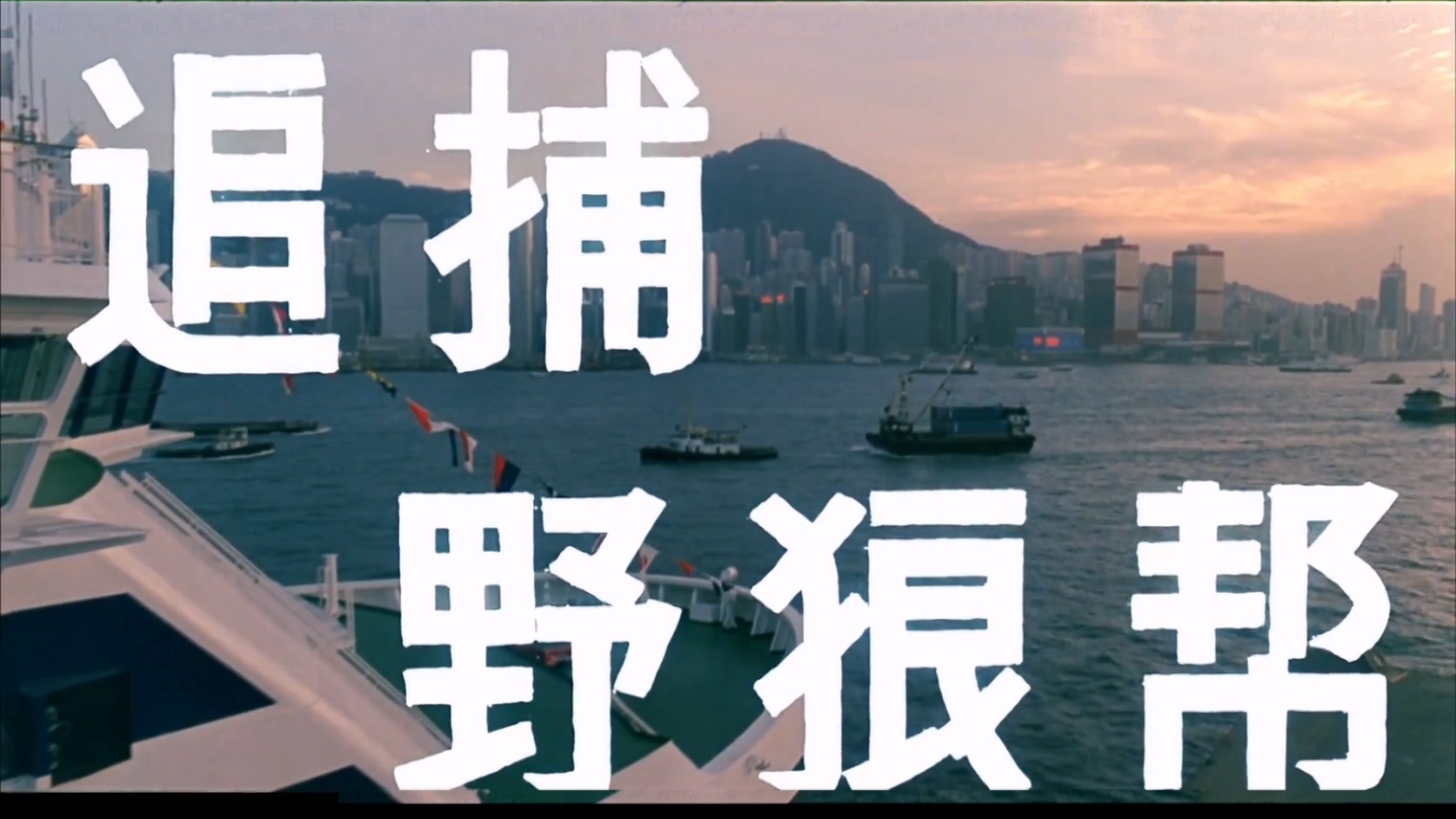 追捕野狼帮.mkv_20250610_115809.873.jpg