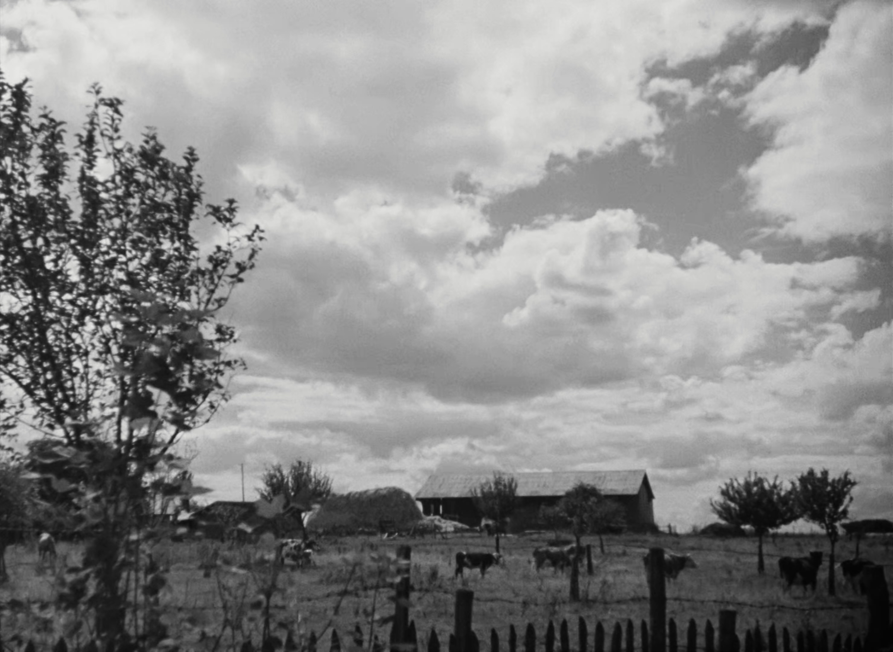 Le.Corbeau.1943.2160p.BRRip.AAC2.0.x265.10bits-RxB-bylh.mkv_20250617_103920.235.jpg