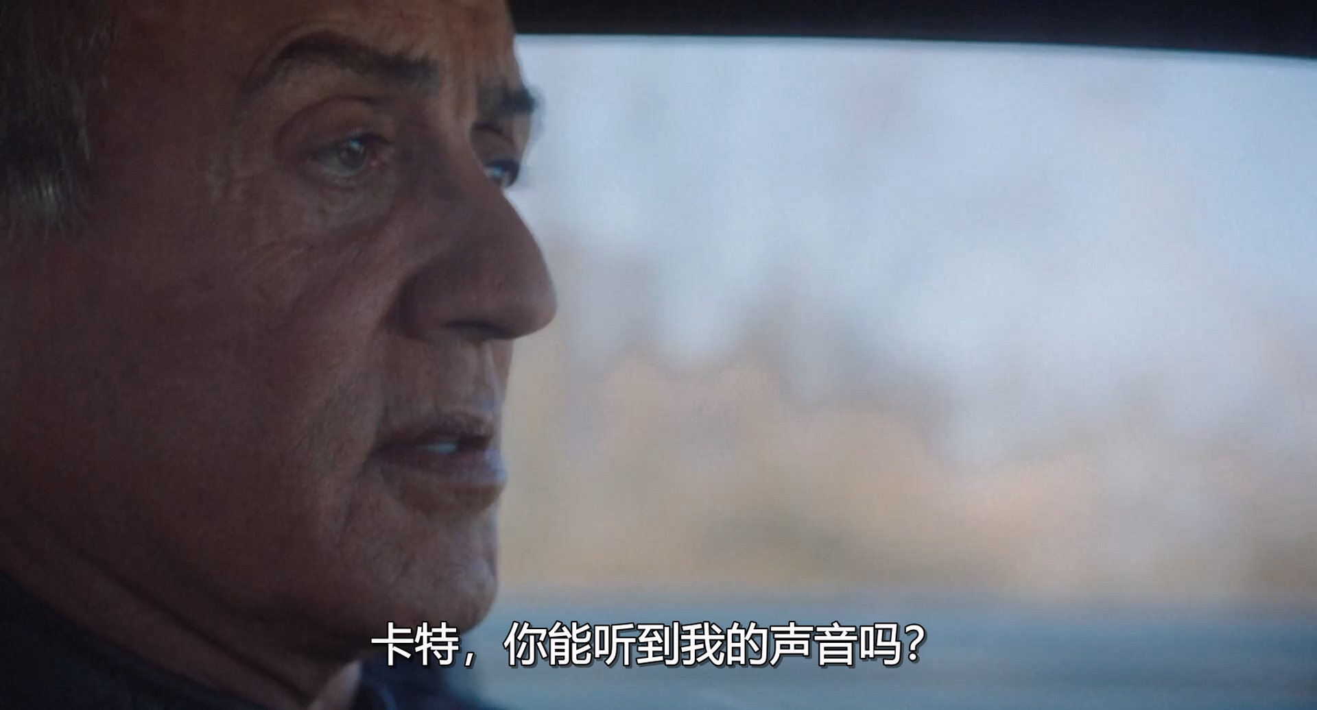 回溯者.Backtrace.2018.1080p.BluRay.384kbps央视国英双语中字.mkv_20250629_164727.996.jpg
