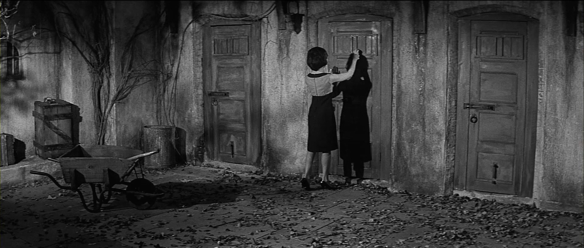 变蝇人的诅咒.Curse.of.the.Fly.1965.CN.mkv_20250629_202458.995.jpg