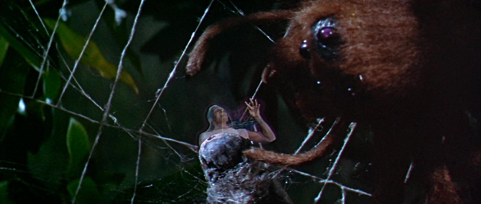 变蝇人老版1.The.Fly.1958.CN.mkv_20250629_203106.859.jpg