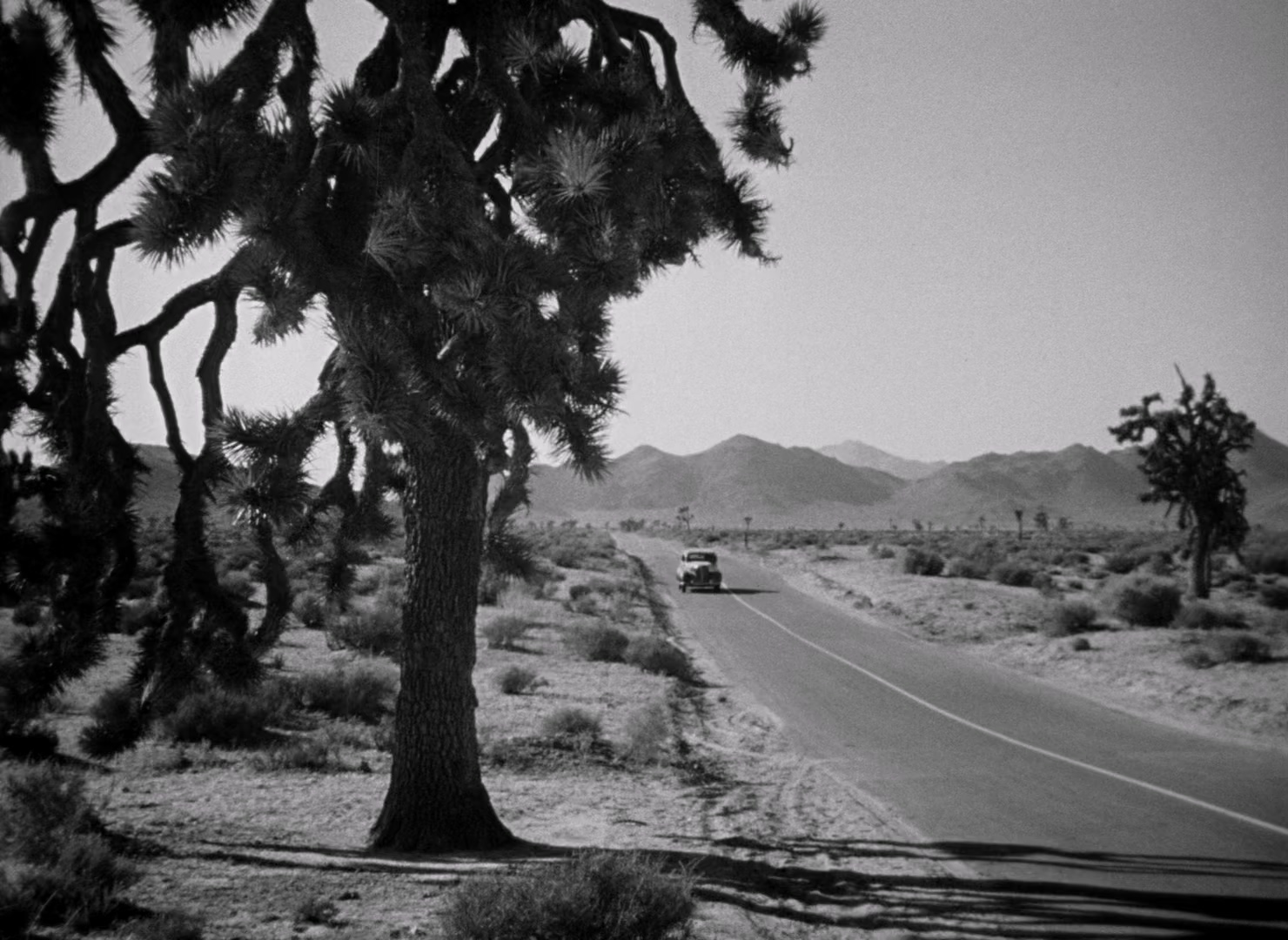High.Sierra.1941.CC.Bluray.1080p.x265.10bit-MiniHD.mkv_20250705_004415.428.jpg