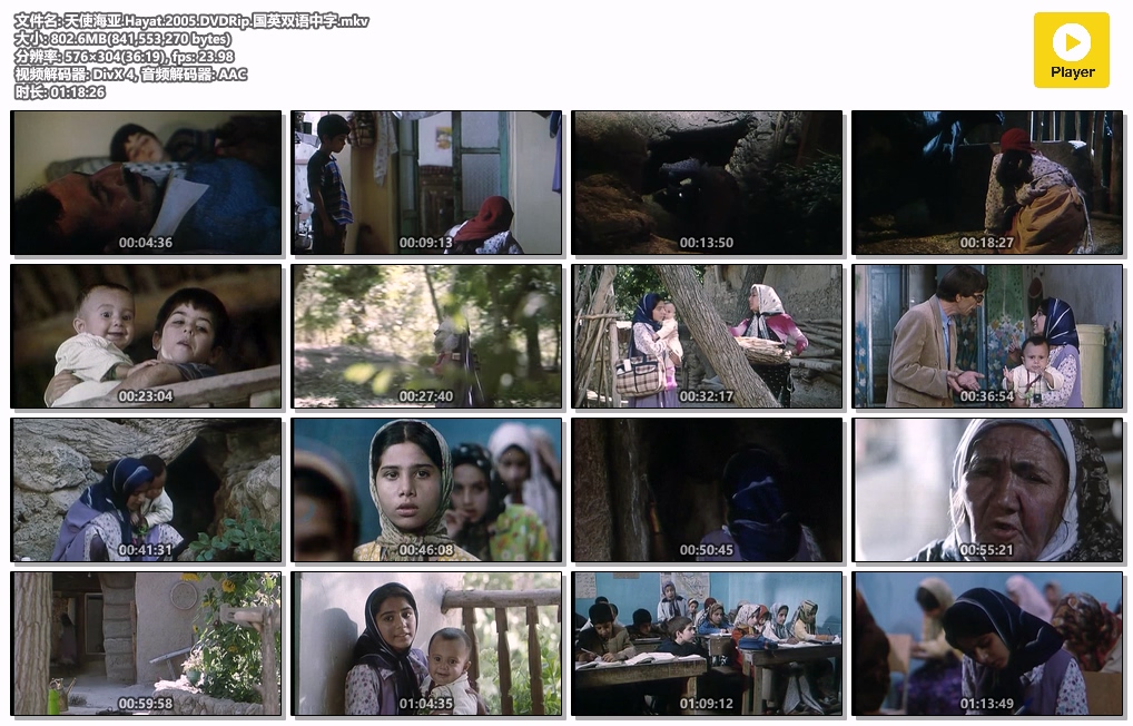 天使海亚.Hayat.2005.DVDRip.国英双语中字.mkv.jpg