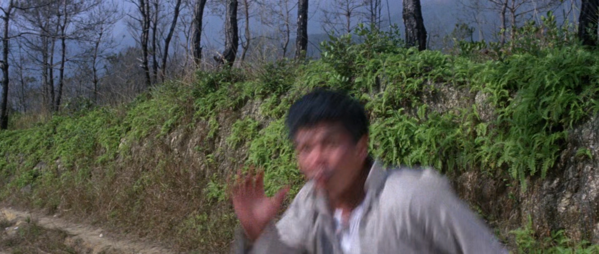 迷拳三十六招.The.36.Deadly.Styles.1982.CHINESE.1080p.BluRay.x265-VXT.mkv_2025080.jpg