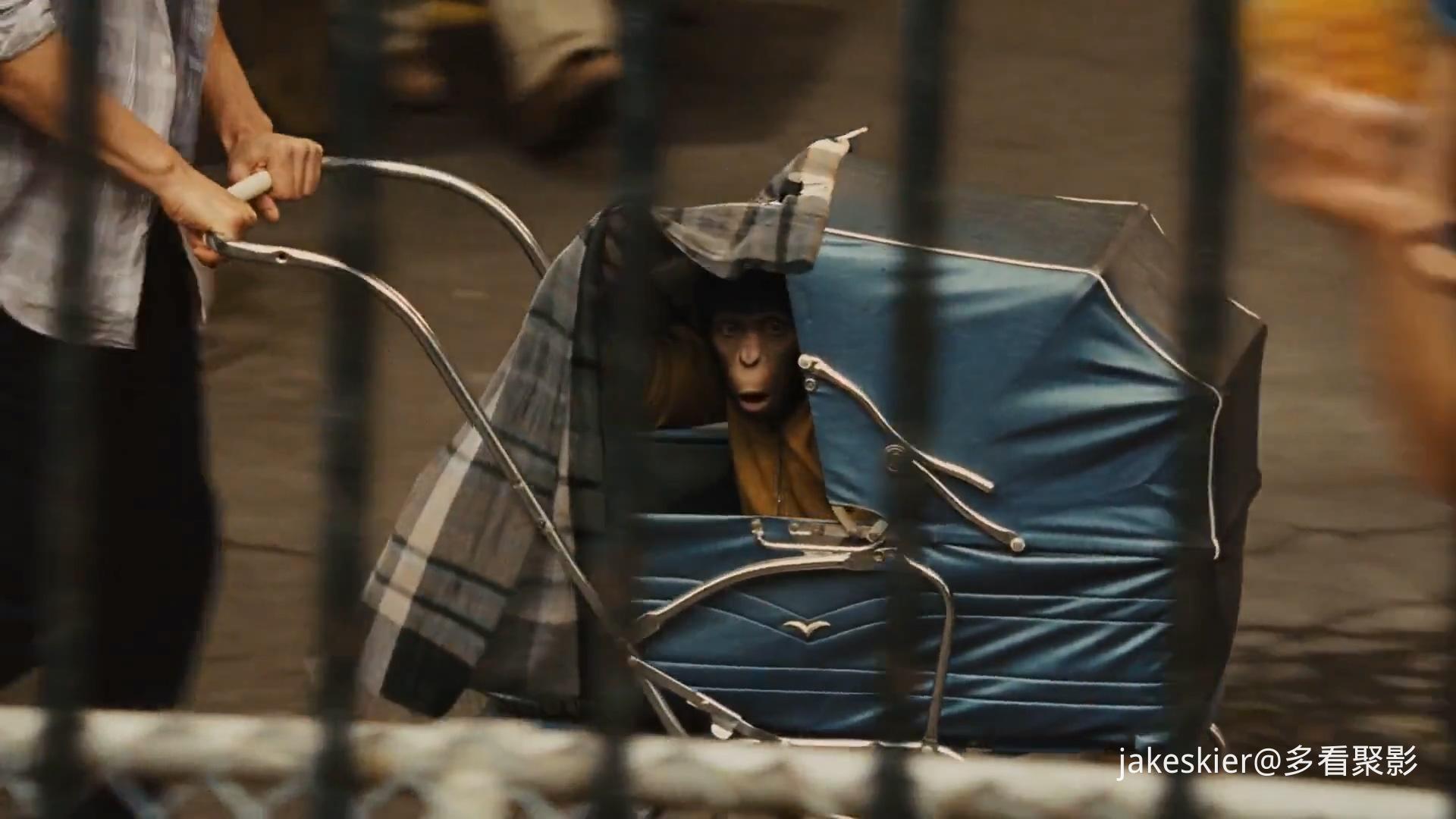 2011.猩球崛起(满屏版105分钟).1080P.上译英特效对应中字.mkv_20250815_233044.626.jpg