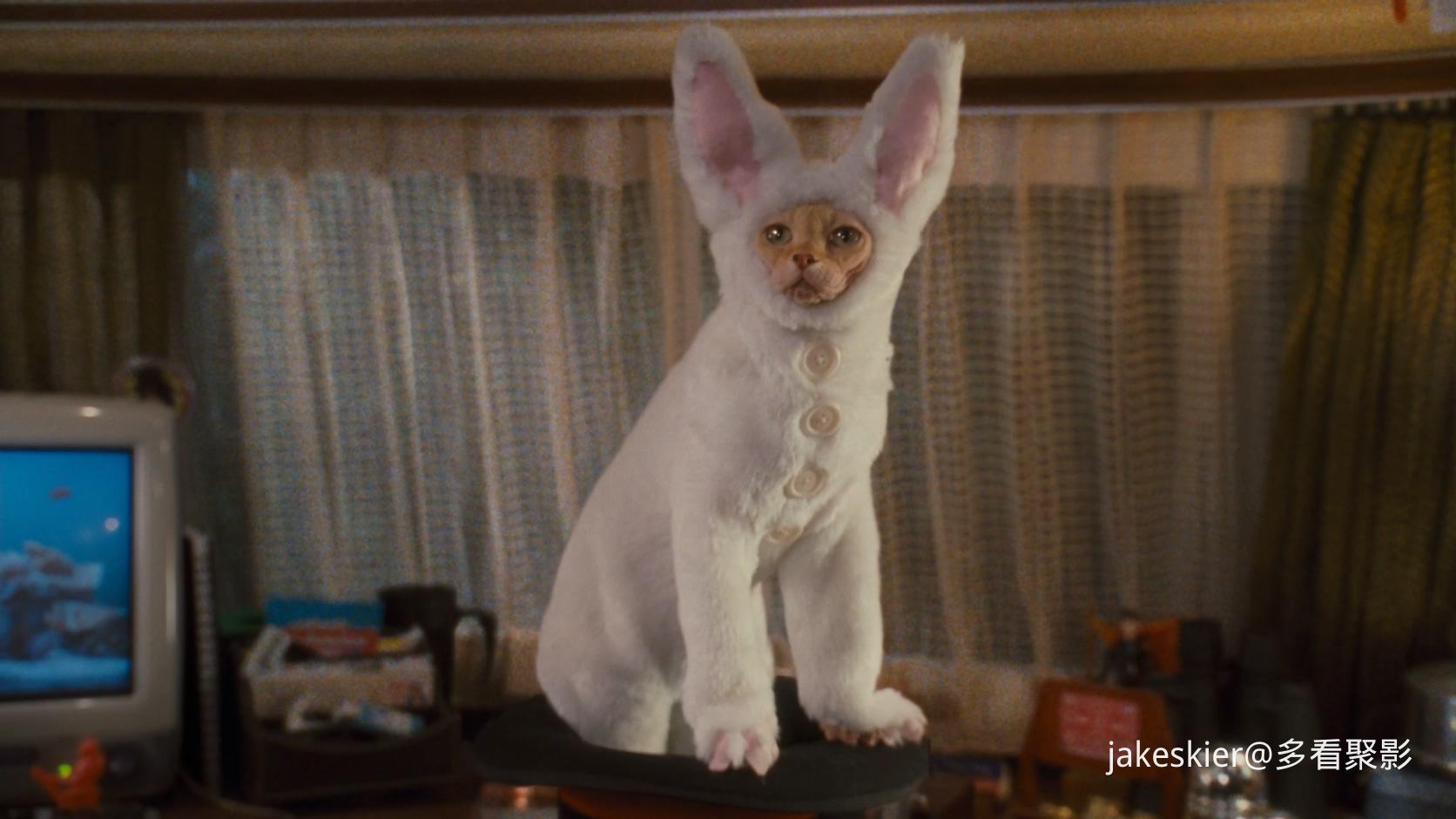 2010.猫狗大战2：珍珠猫复仇(满屏版82分钟).1080P.上译央视台粤英中字.mkv_20250818_0.jpg