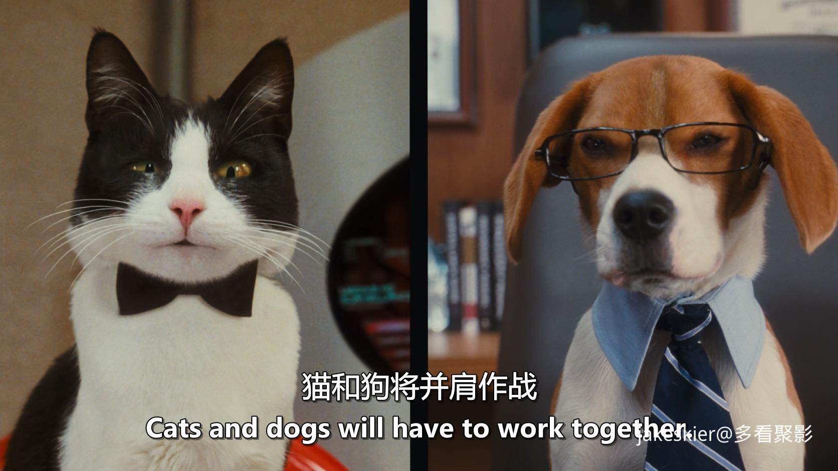 2010.猫狗大战2：珍珠猫复仇(满屏版82分钟).1080P.上译央视台粤英中字.mkv_20250818_0.jpg