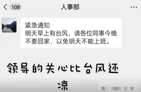 09.webp