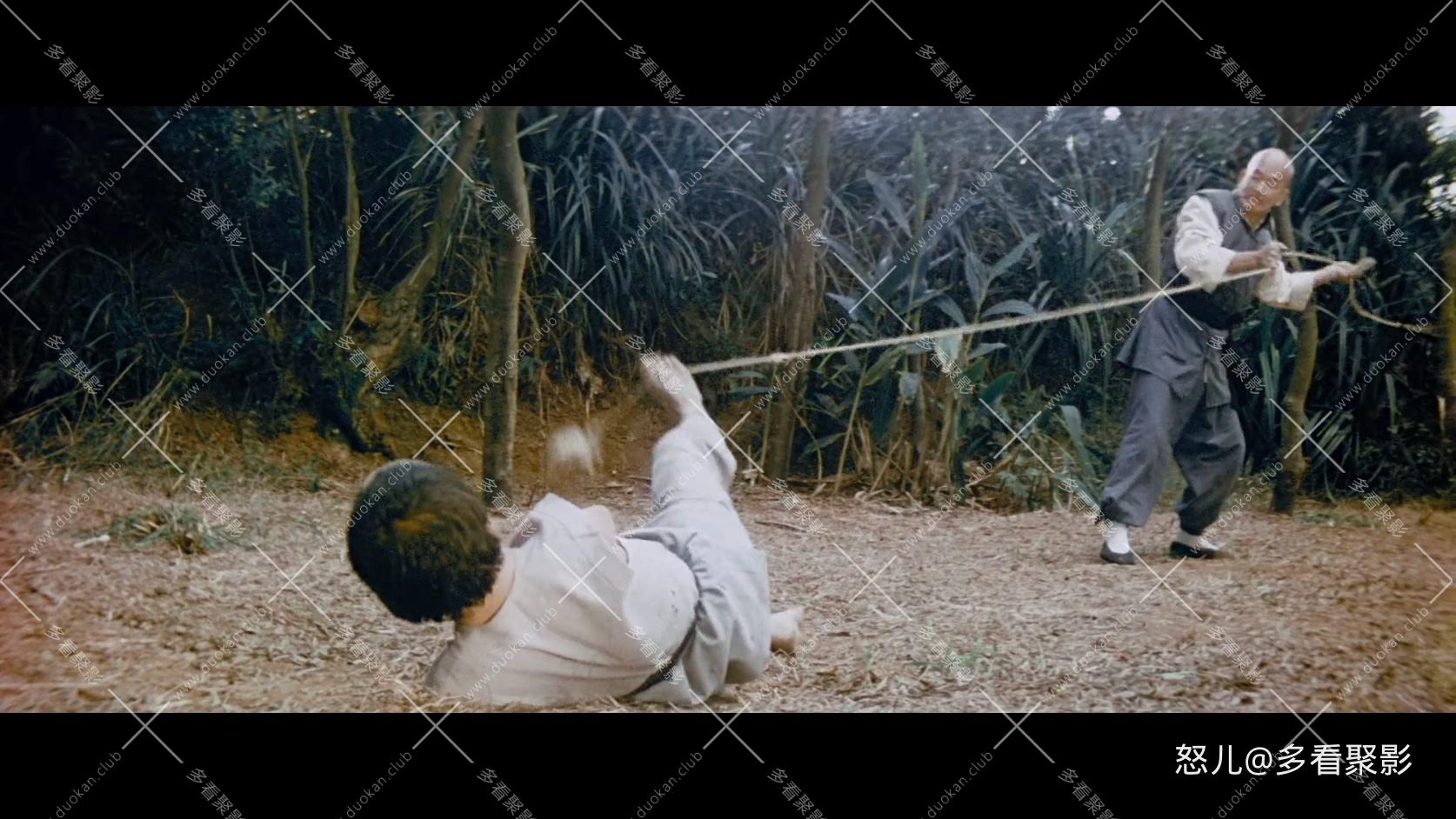 天残地缺.The.Crippled.Masters.1980.BluRay.1080p.AAC.x264-DreamHD.mkv_20250827_10.jpg