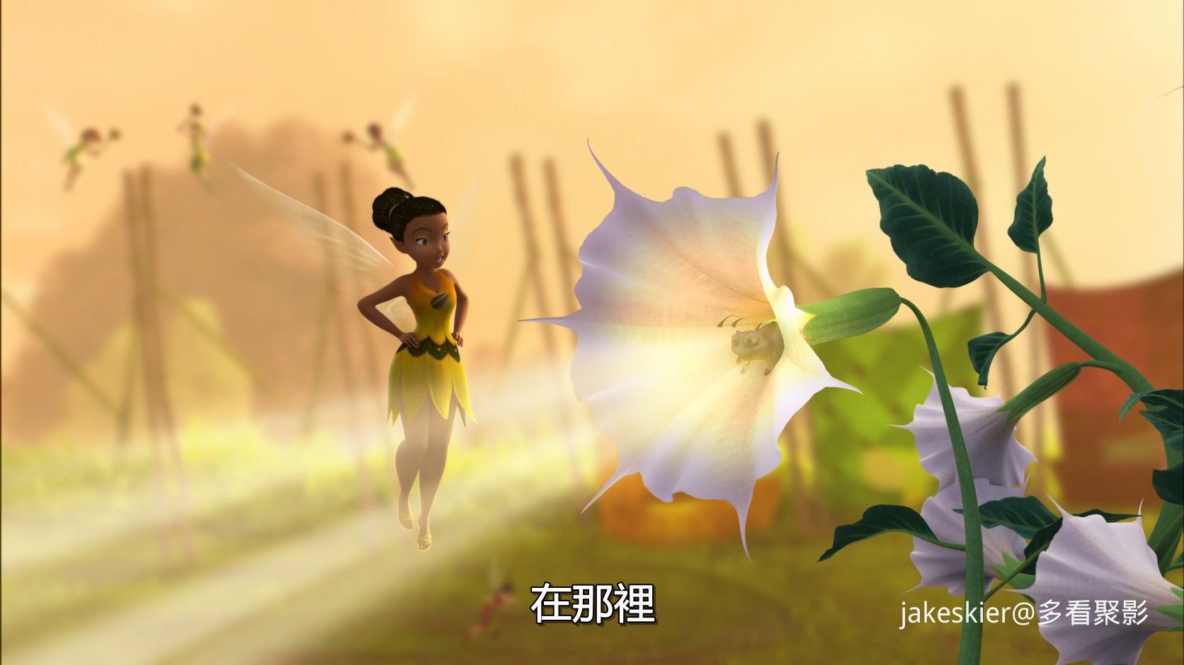 2011.奇妙仙子SP：精灵杯大赛(满屏版23分钟).1080P.粤英中字.mkv_20250928_010019.049.jpg