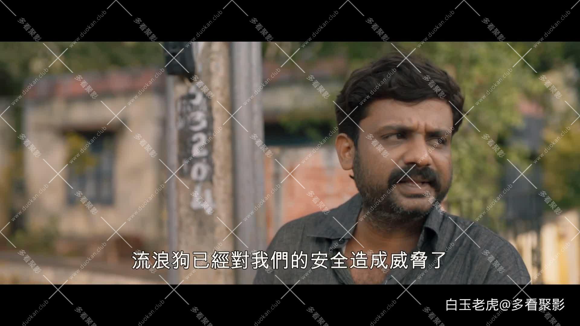 777.Charlie.2022.1080p.WEB-DL.H264.AAC-MOMOWEB.mkv5.jpg