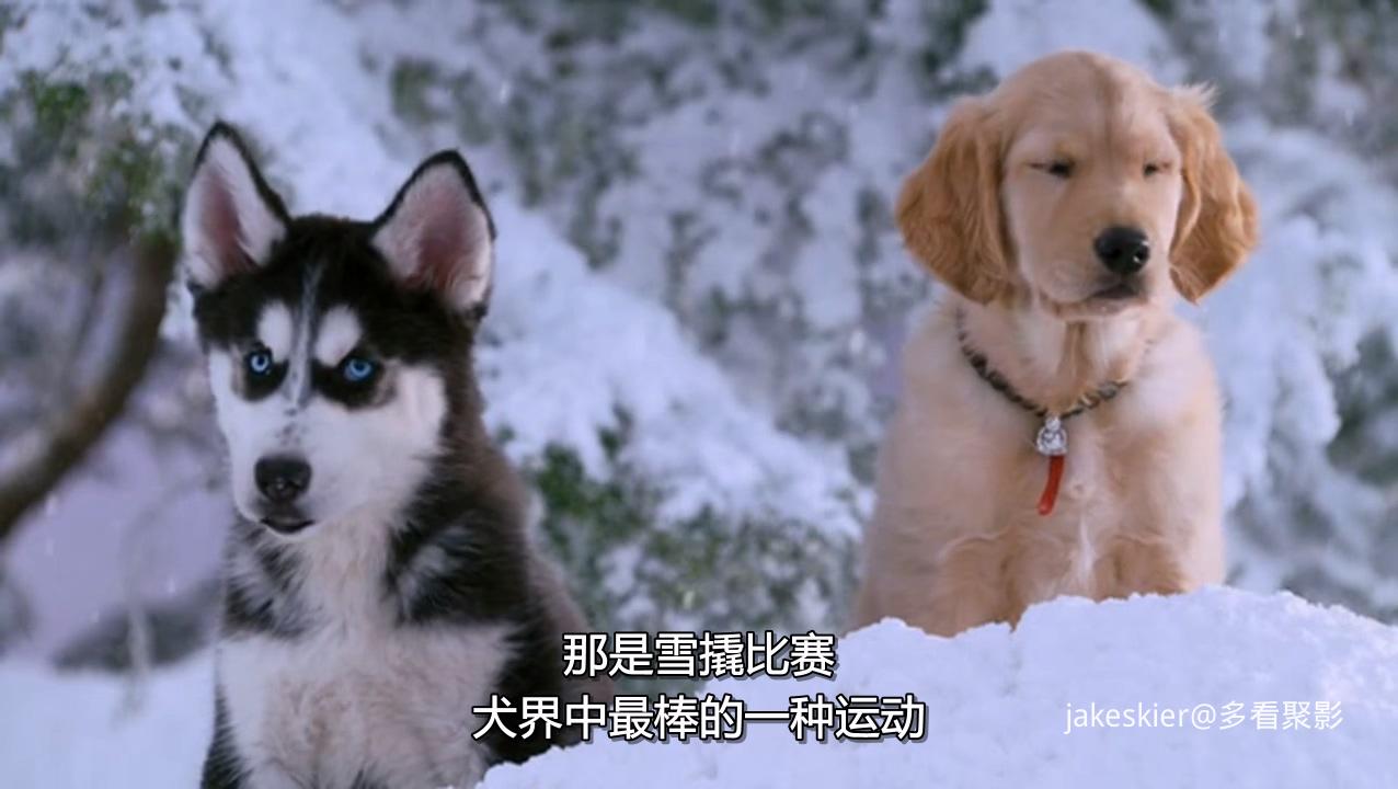 2006.雪地巴迪(87分钟).720P.国英中字.mkv_20250926_235540.655.jpg