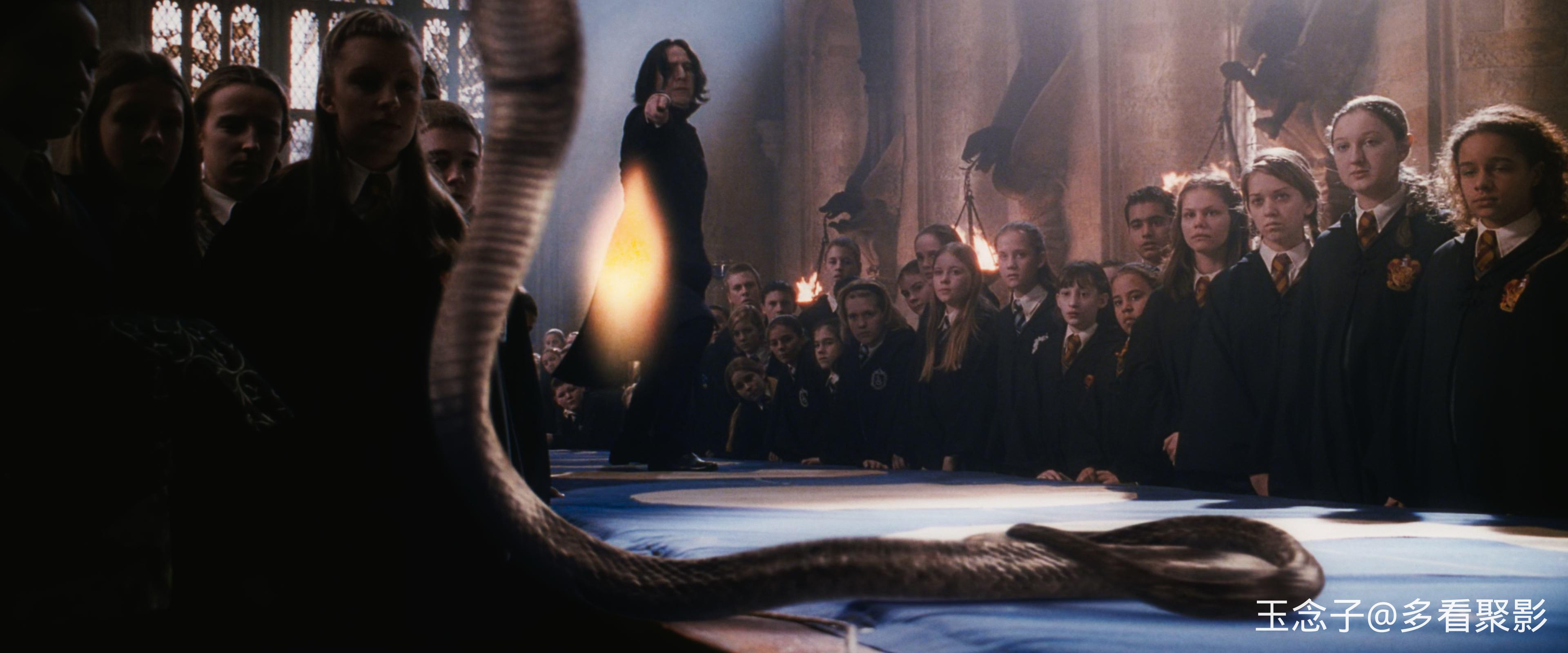 2.Harry.Potter.and.the.Chamber.of.Secrets.2002.UHD.BluRay.2160p.10bit.DoVi.4Audi.jpg