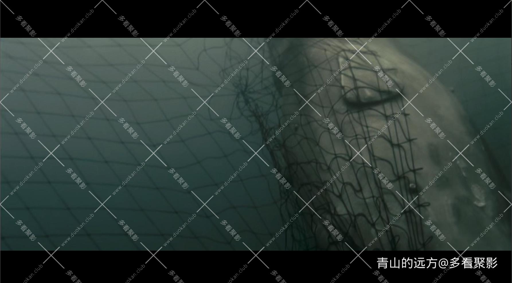 Snipaste_2025-10-04_07-29-41.png