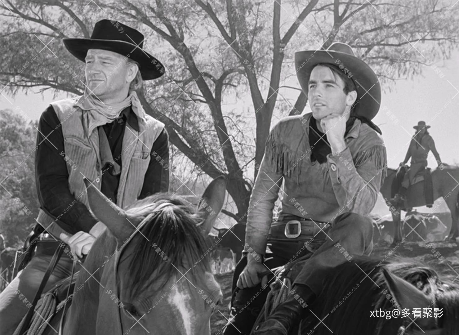 红河.Red.River.1948.1080p.BluRay.x265.2Audios.mkv_20251008_100853.793.jpg