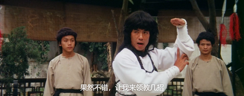 蛇形刁手斗螳螂.1978.BDRip.AC3.HKFACT.mkv_115生活(曾用名“115网盘”)_数字生活平台.png