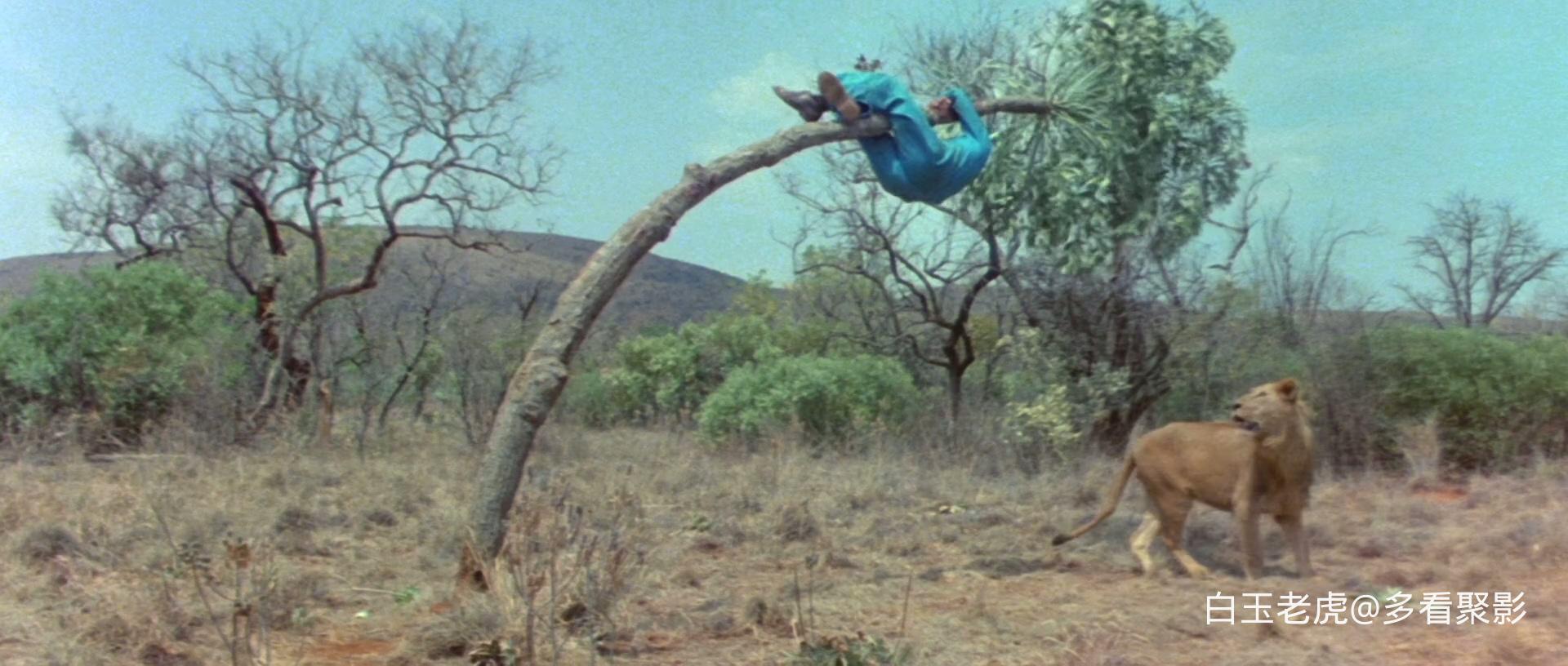 上帝也疯狂.The.Gods.Must.Be.Crazy.1984.WEB.1080p.x265.10bit.3Audio-MiniHD-bylh.m.jpg