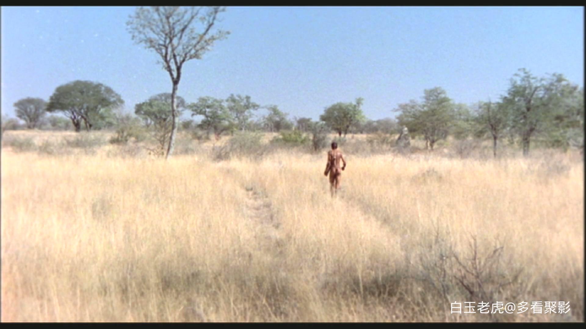 上帝也疯狂2.The.Gods.Must.Be.Crazy.II.1989.1080p.DSNP.WEB-DL.H264.AAC.2Audio-TAG.jpg