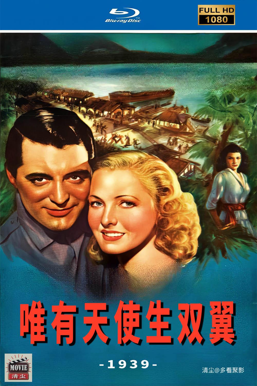 版面图.jpg