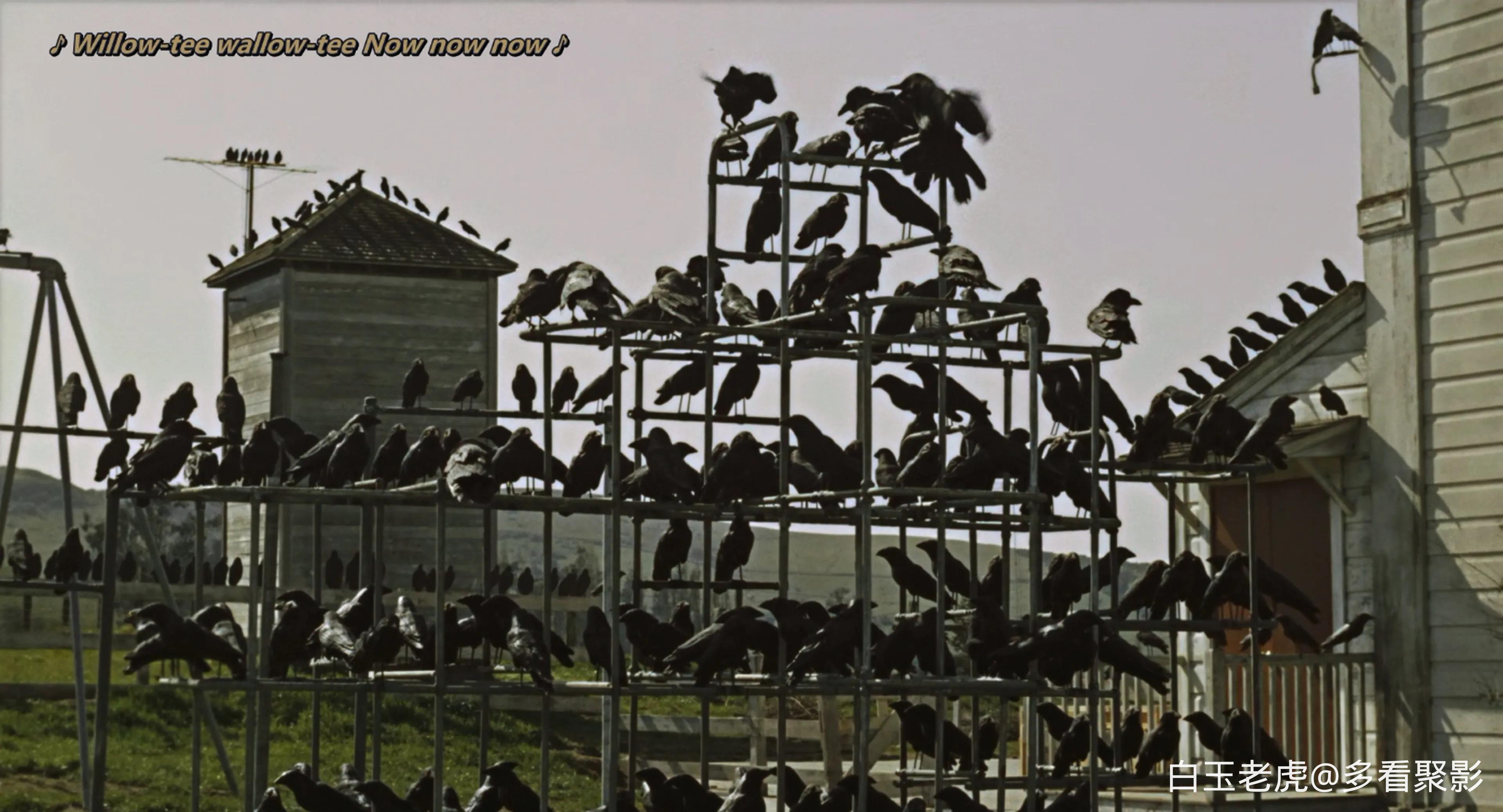 The.Birds.1963.2160p.UHD.BluRay.x265.10bit.HDR.DTS-HD.MA.2.0.2Audio-QuickIO-bylh.webp