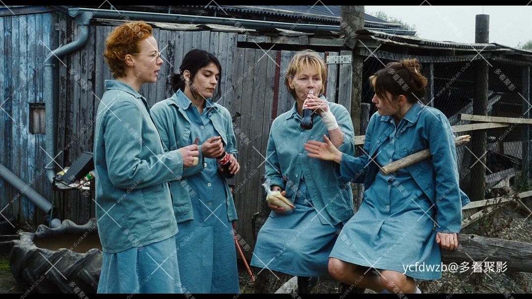p2914615161.jpg
