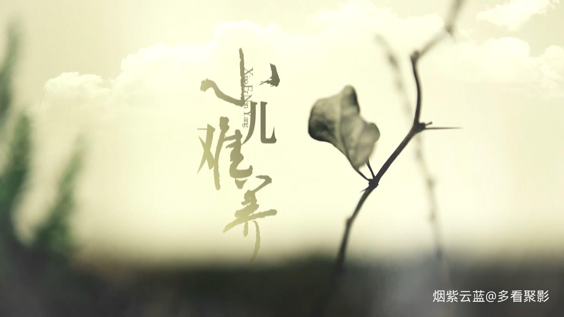 小儿难养.The.Sweet.Burden.2013.E35.1080p.H264.AAC-ChupapiMuñañyo.mp4_20260109_.jpg