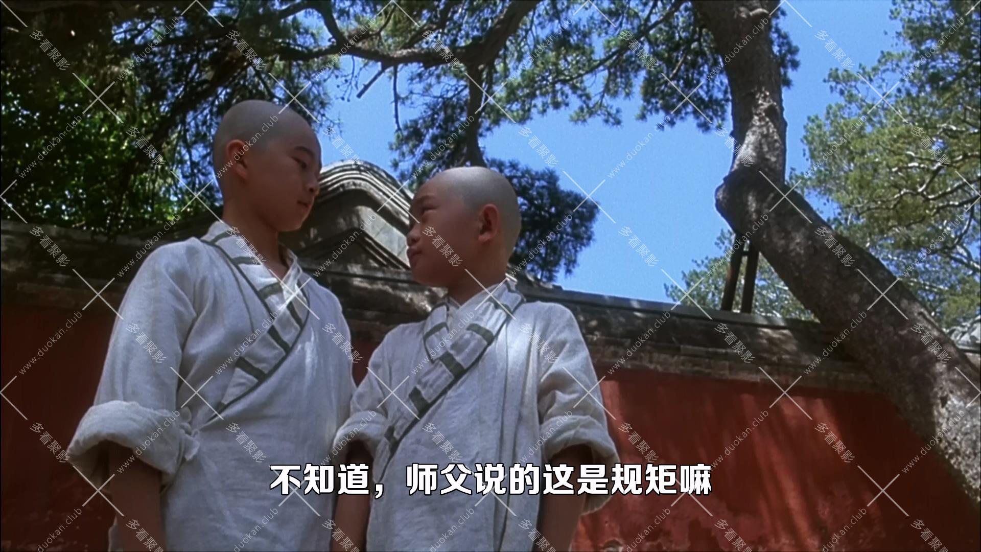 太极张三丰.1993.mkv_000310.833.jpg
