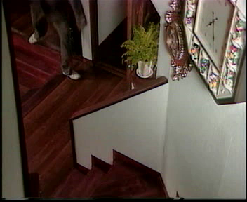 [TVBT发布]摩登妈咪07[00_43_28][20260123-091909].png