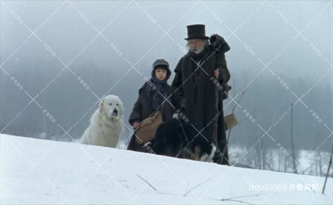 苦儿流浪记.sans.famille.2000.dvdrip.x265.2audios.mkv_20260128_071813266.jpg