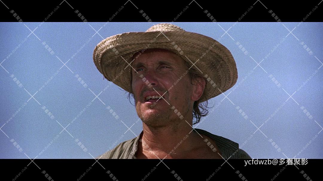 p2545838375.jpg