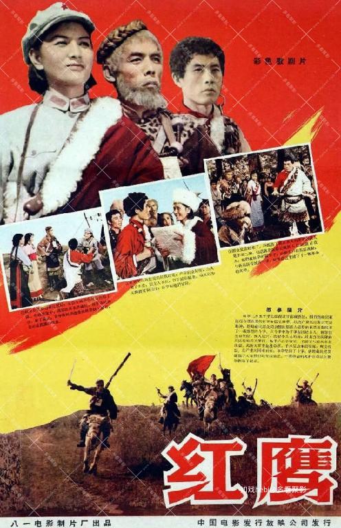 红鹰.jpg