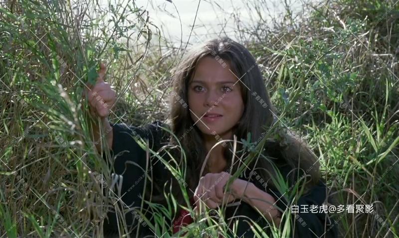 毕加索的奇异旅程.The.Adventures.of.Picasso.1978.SWEDISH.1080p.WEBRip.x264.AAC.2A.png