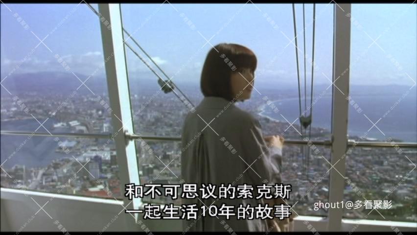 与狗狗的10个约定.mkv_000058.873.jpg