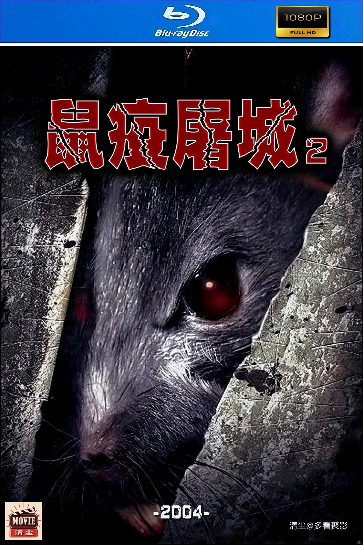 版面图.jpg