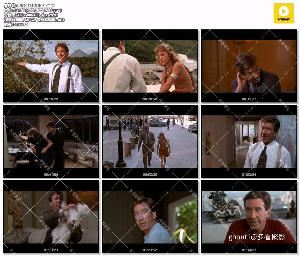JUNGLE2JUNGLE.mkv.jpg