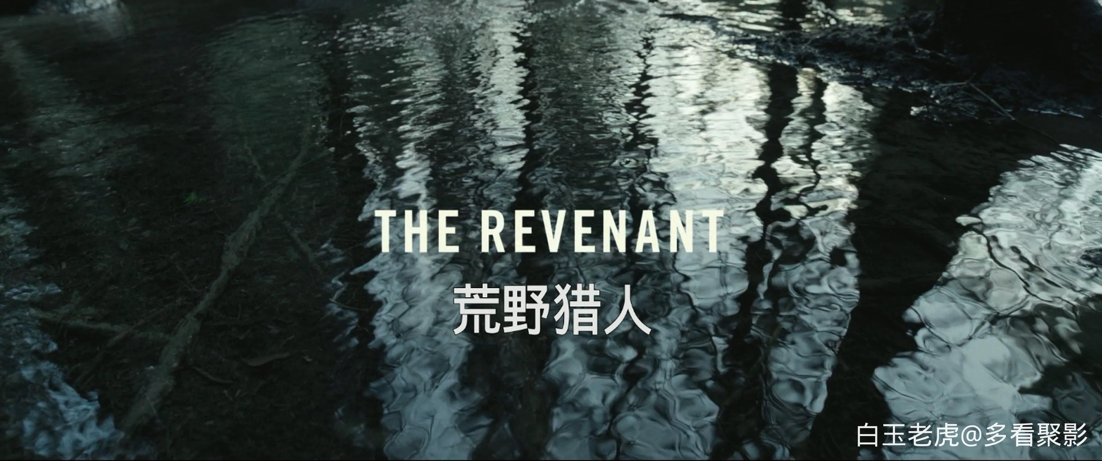 The.Revenant.2015.2160p.UHD.BluRay.X265-IAMABLE (1).mkv_20260503_121935.850.webp