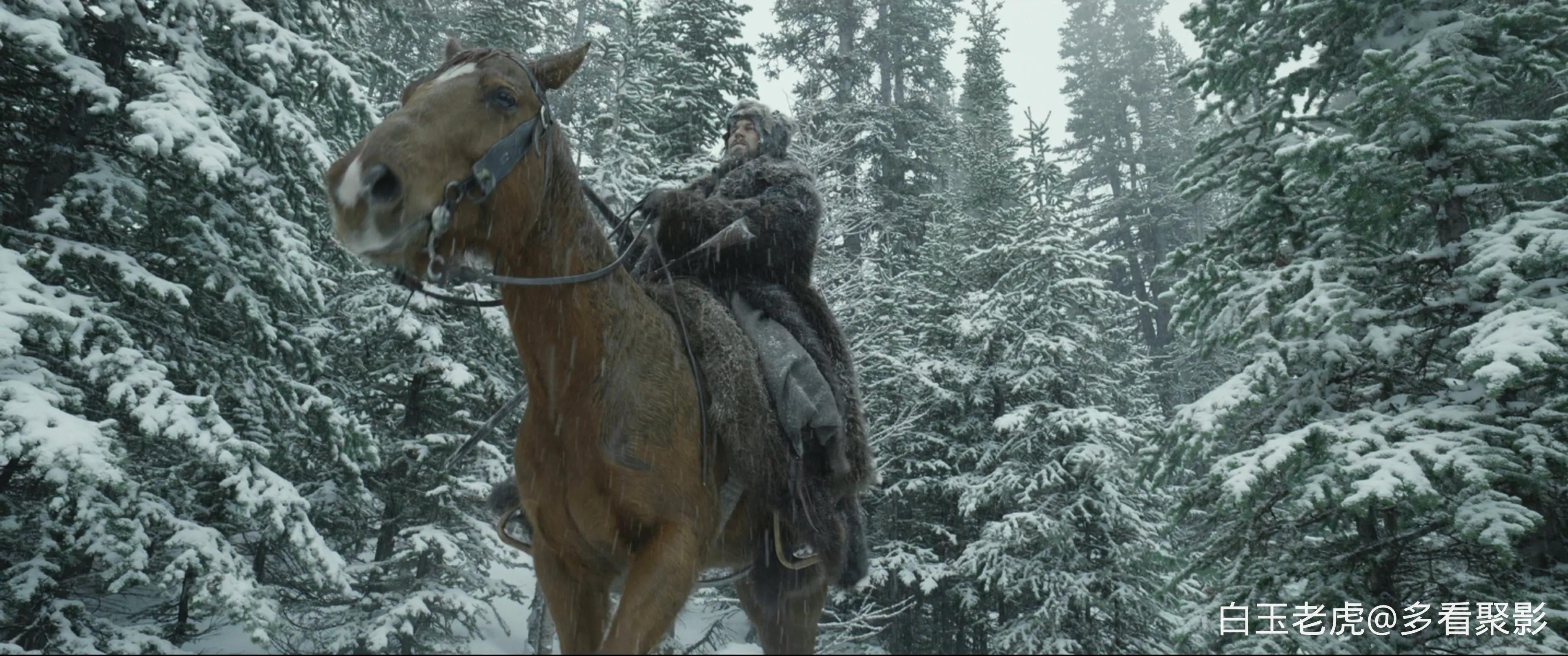 The.Revenant.2015.2160p.UHD.BluRay.X265-IAMABLE (1).mkv_20260503_122854.722.webp